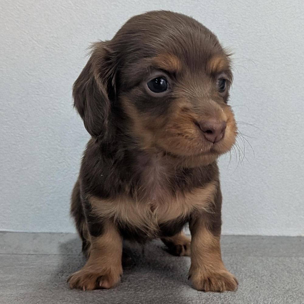 ffb2171d-0d26-4f7c-b611-b81668c9e2b2