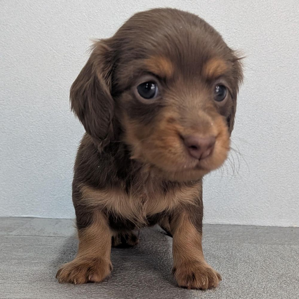 ffb2171d-0d26-4f7c-b611-b81668c9e2b2