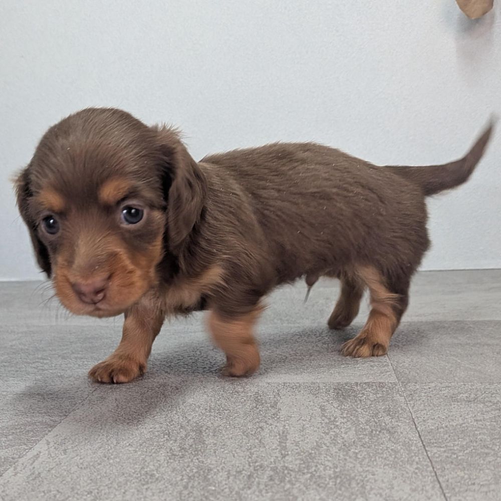 ffb2171d-0d26-4f7c-b611-b81668c9e2b2