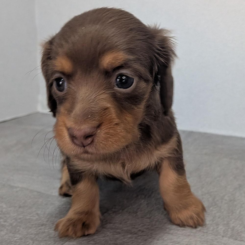 ffb2171d-0d26-4f7c-b611-b81668c9e2b2