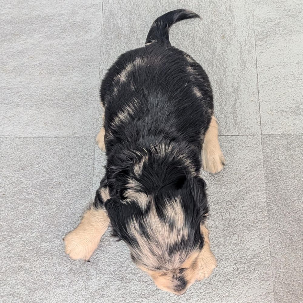 f4e4a5e3-52c5-4e19-99ee-bebd61c36231