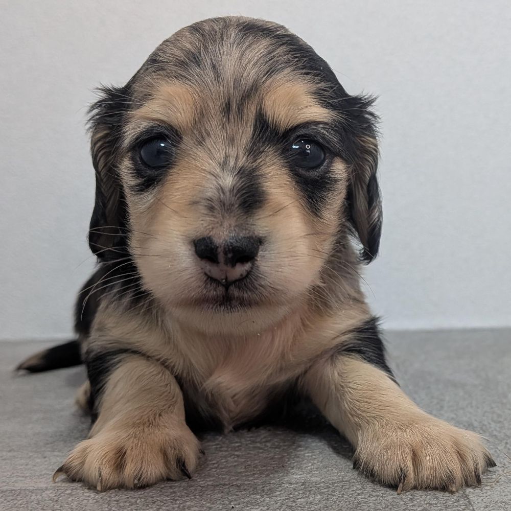 f4e4a5e3-52c5-4e19-99ee-bebd61c36231