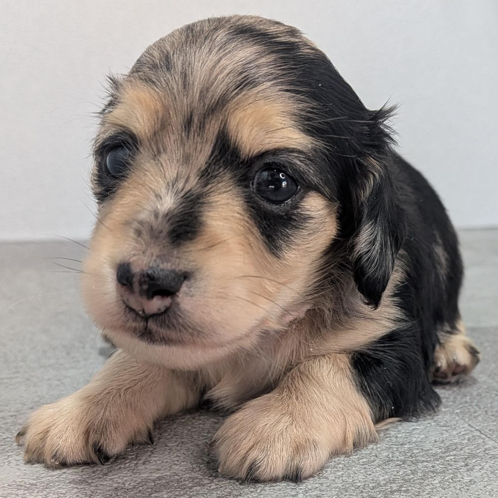 f4e4a5e3-52c5-4e19-99ee-bebd61c36231