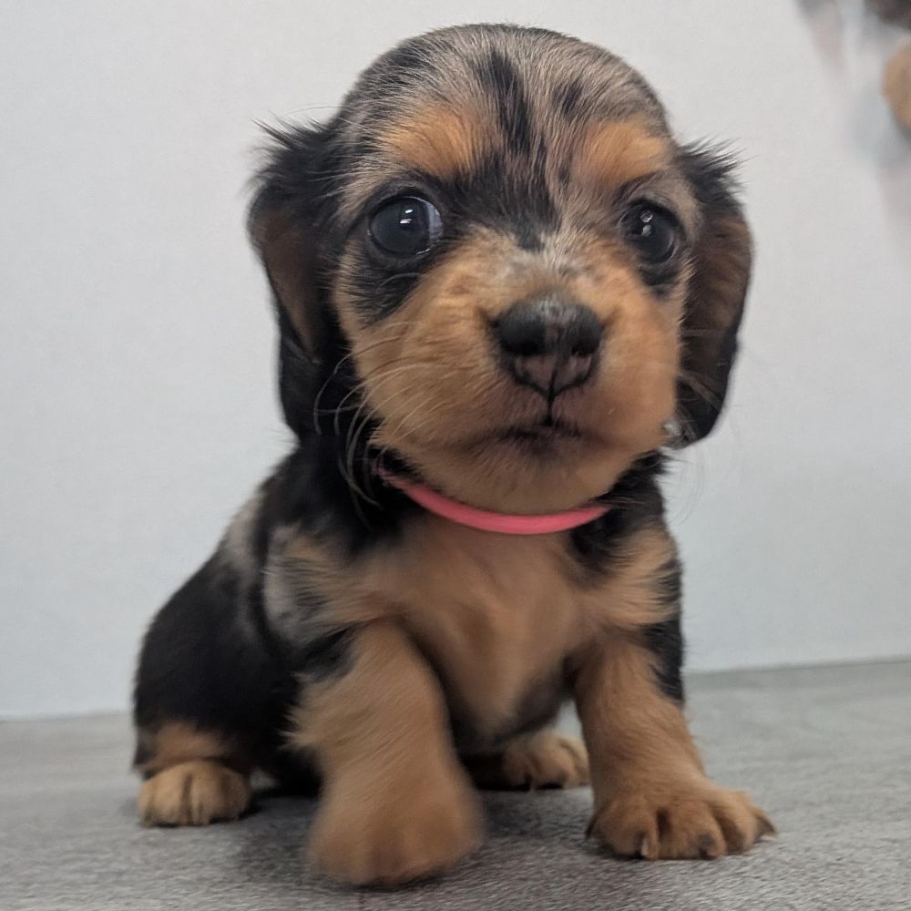 ff27e34d-0a84-4760-a447-390bd1e50d18