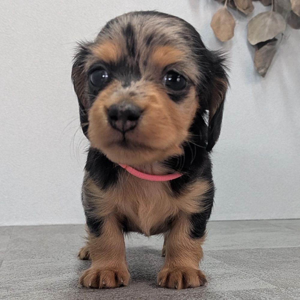 ff27e34d-0a84-4760-a447-390bd1e50d18