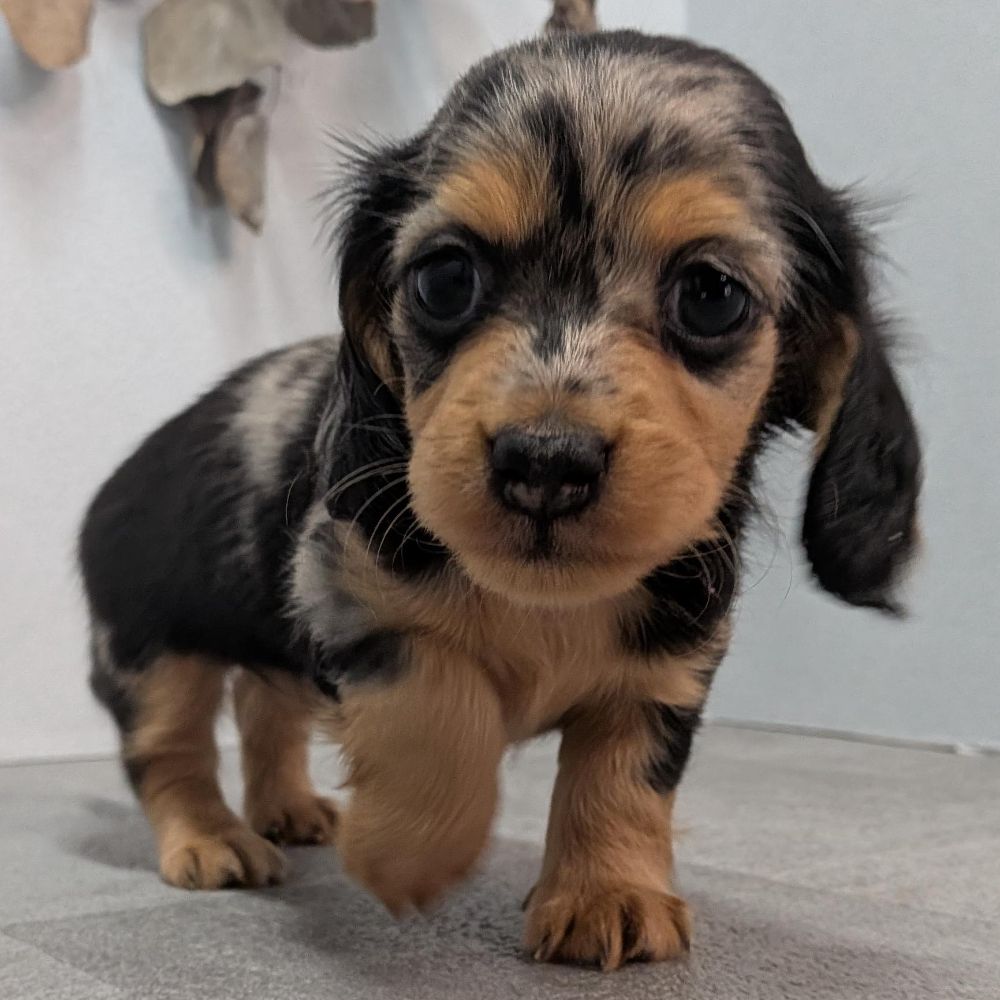 ff27e34d-0a84-4760-a447-390bd1e50d18