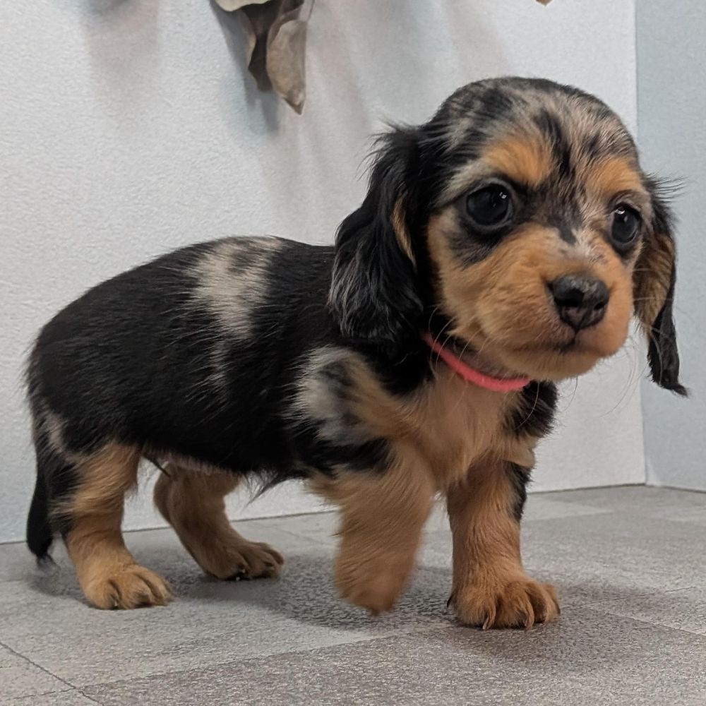 ff27e34d-0a84-4760-a447-390bd1e50d18