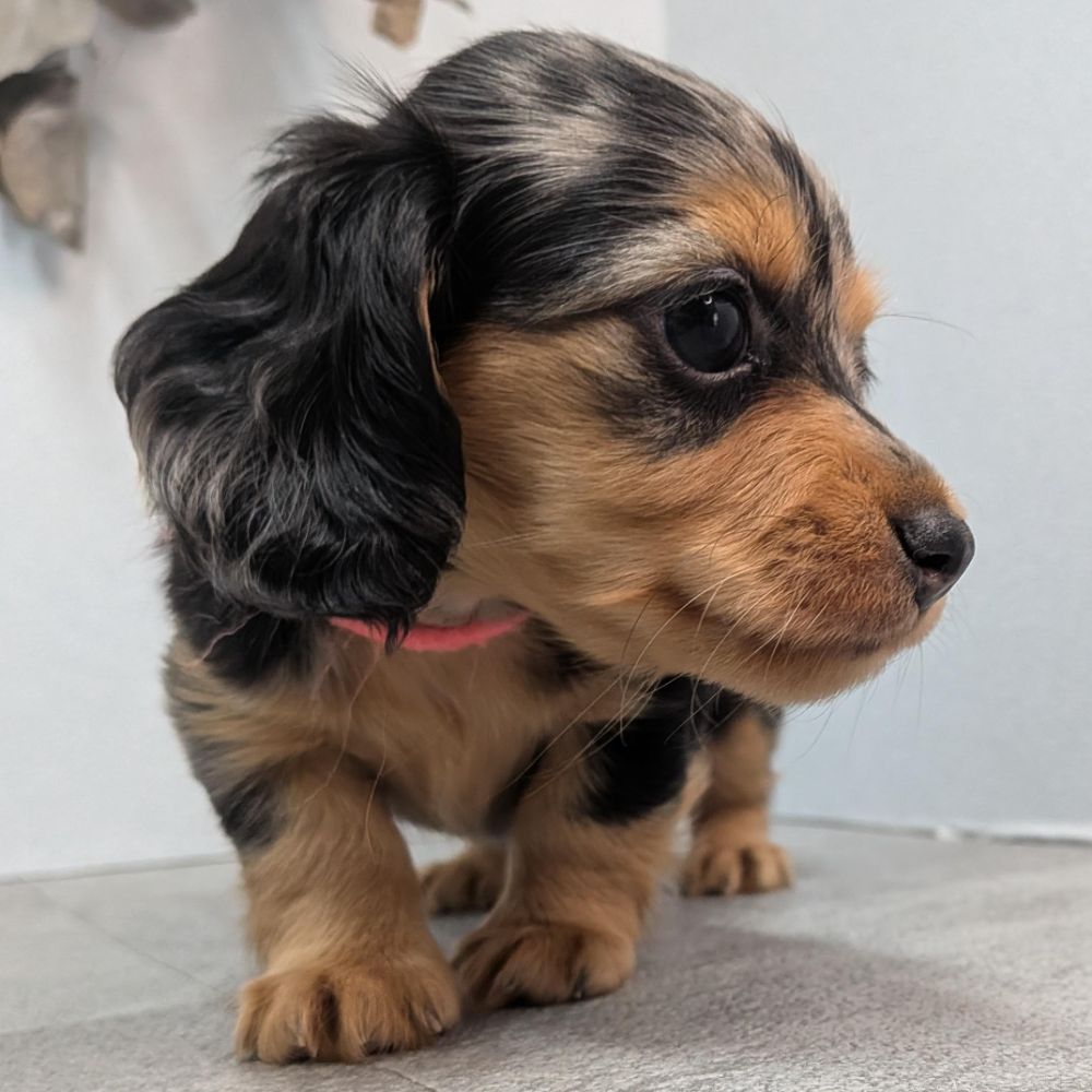 ff27e34d-0a84-4760-a447-390bd1e50d18