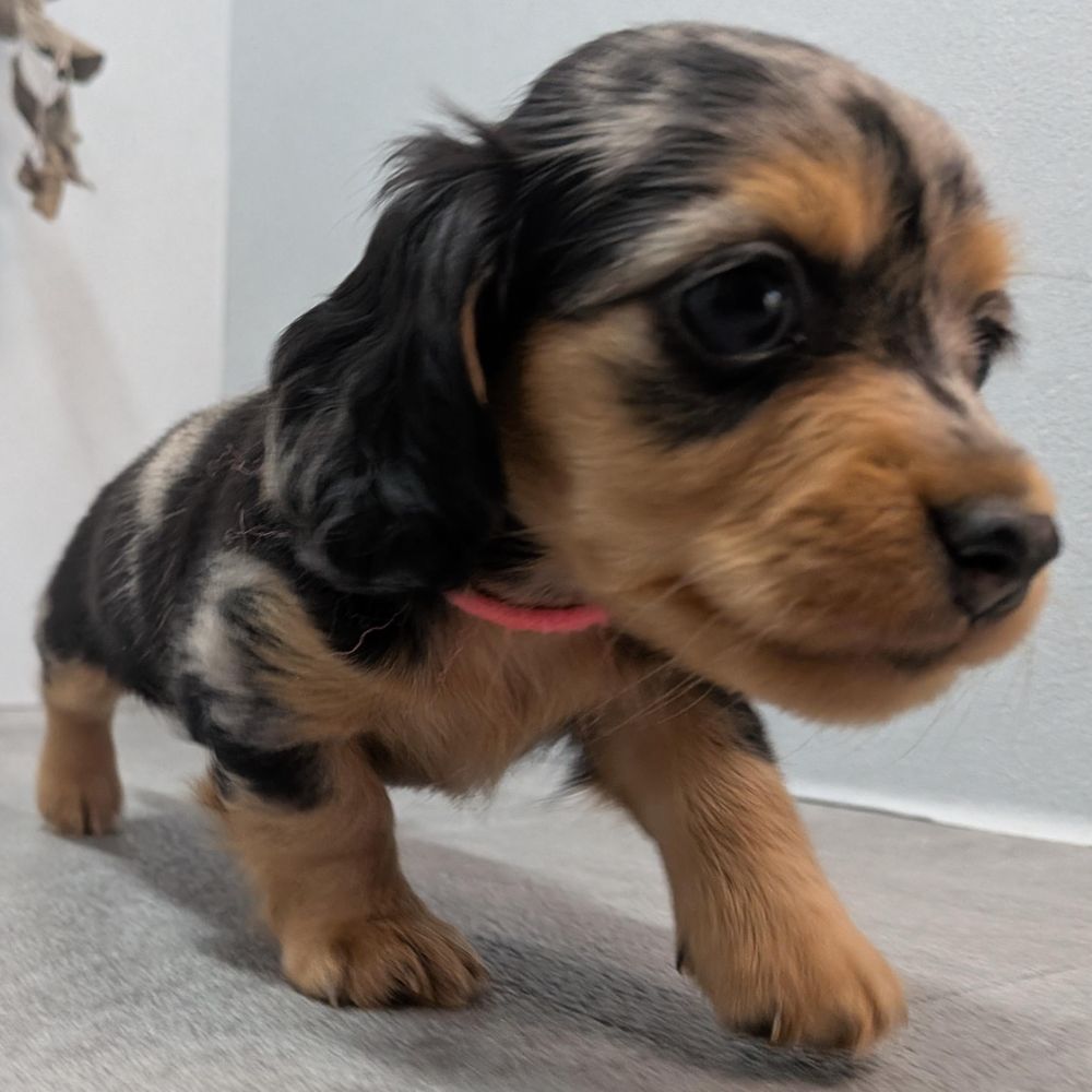 ff27e34d-0a84-4760-a447-390bd1e50d18