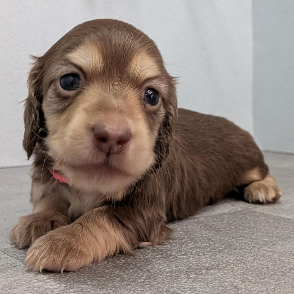 c5a88211-ce69-44cf-8cef-9eb5b45ad2cf