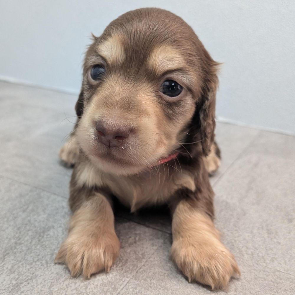 c5a88211-ce69-44cf-8cef-9eb5b45ad2cf