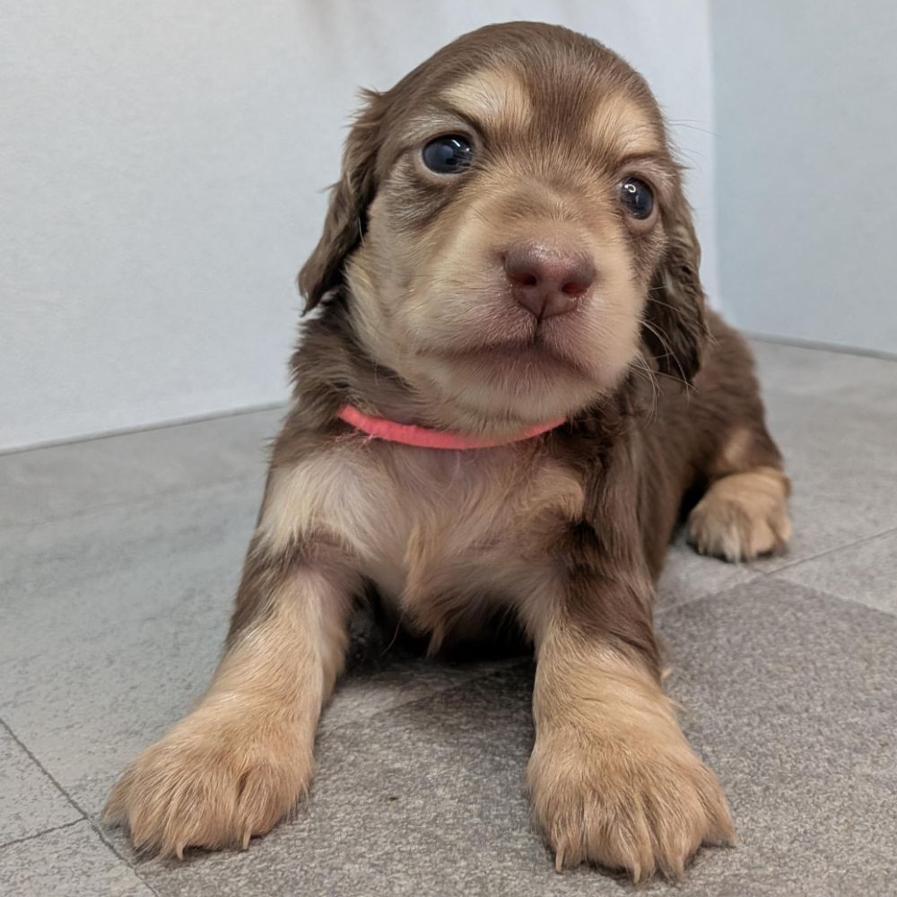 c5a88211-ce69-44cf-8cef-9eb5b45ad2cf