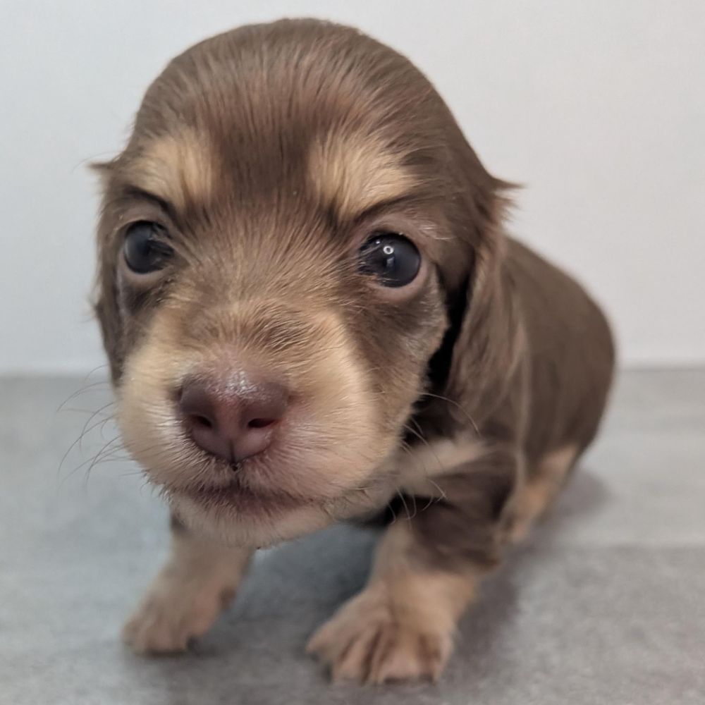 b579bc5d-9f6e-4137-b05d-f7136430eb7a