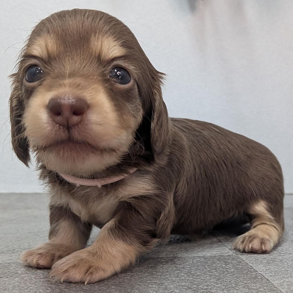 b579bc5d-9f6e-4137-b05d-f7136430eb7a