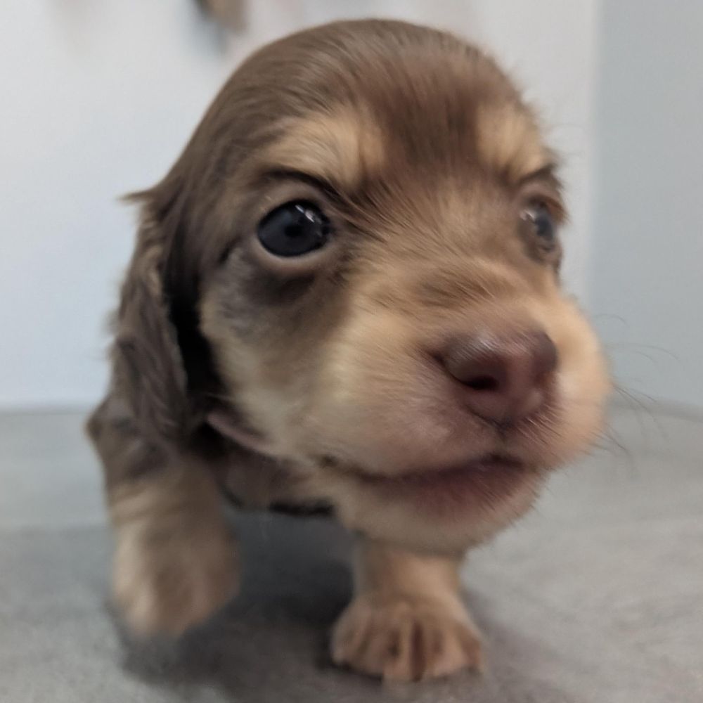 b579bc5d-9f6e-4137-b05d-f7136430eb7a