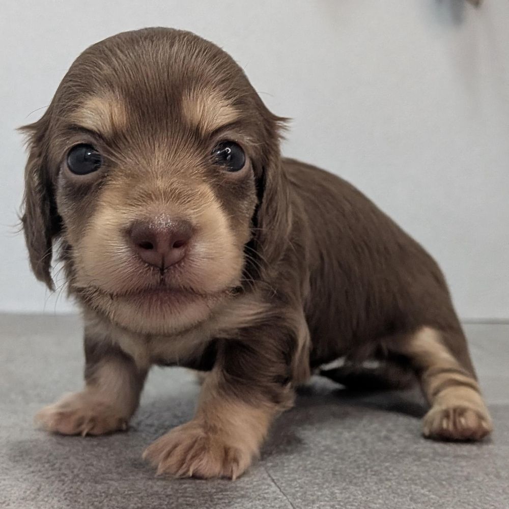 b579bc5d-9f6e-4137-b05d-f7136430eb7a