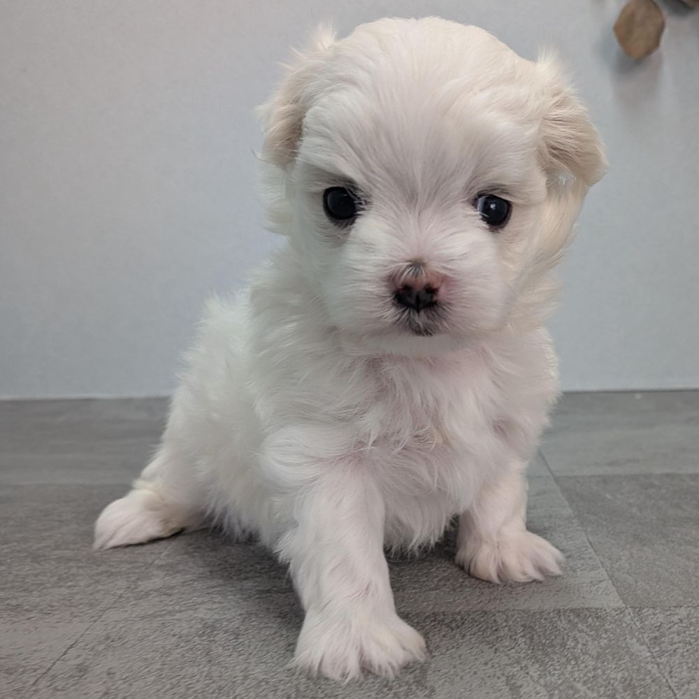 78ef2626-0f95-4b6b-b021-71f0fea54936