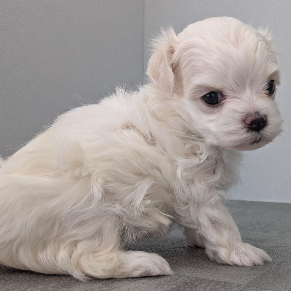 34020fba-b197-49f7-ae40-00a61d4fceb5