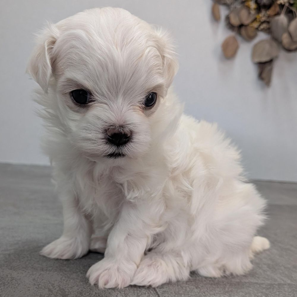 34020fba-b197-49f7-ae40-00a61d4fceb5