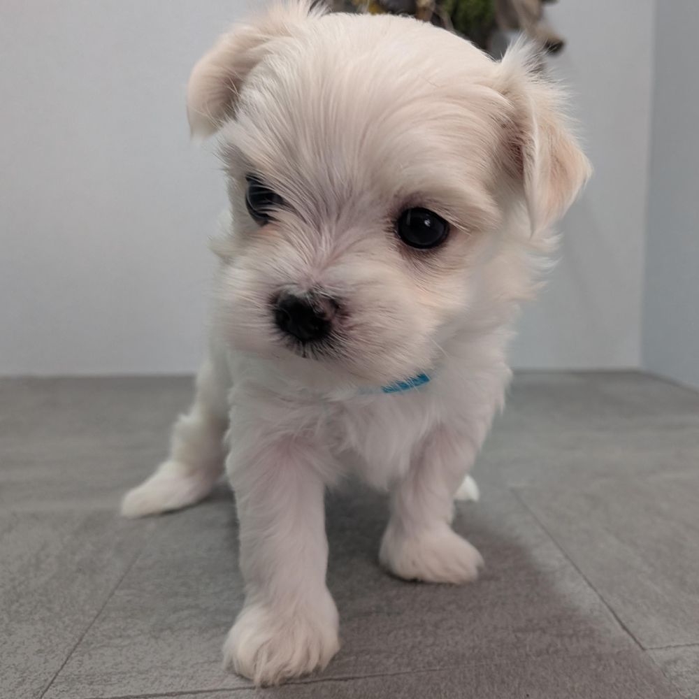 2342906d-60e1-4fa5-a915-06446fdbd313