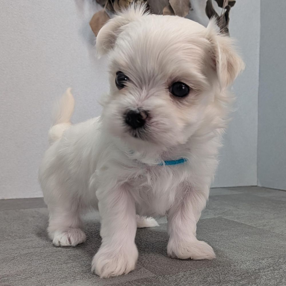 2342906d-60e1-4fa5-a915-06446fdbd313