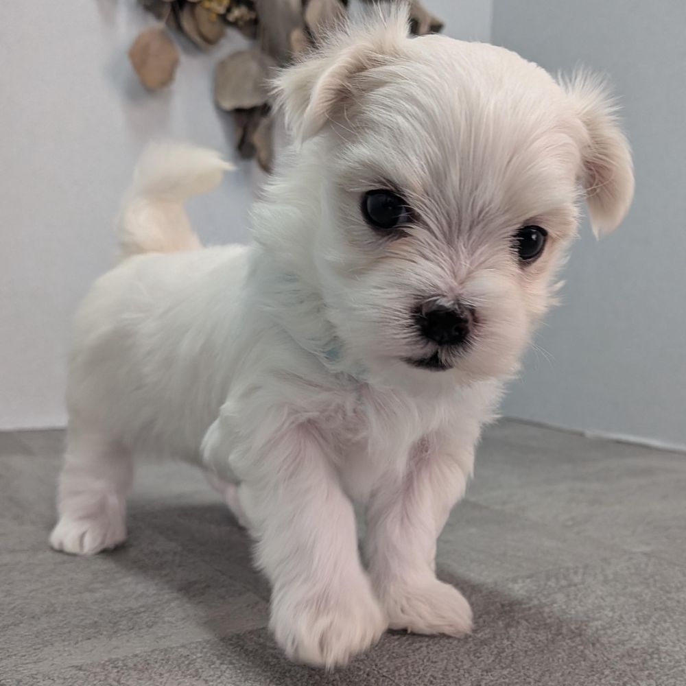 2342906d-60e1-4fa5-a915-06446fdbd313