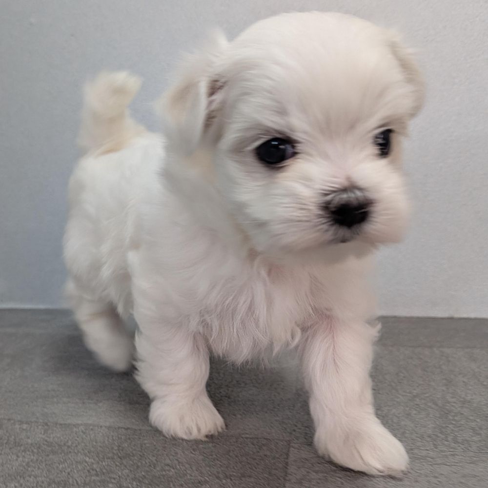 7e96b9fb-17e2-4e12-b271-194ae42b3fa0