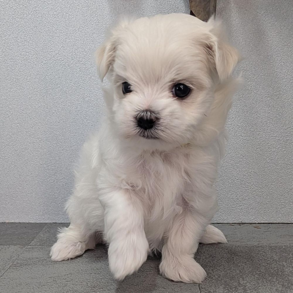 7e96b9fb-17e2-4e12-b271-194ae42b3fa0