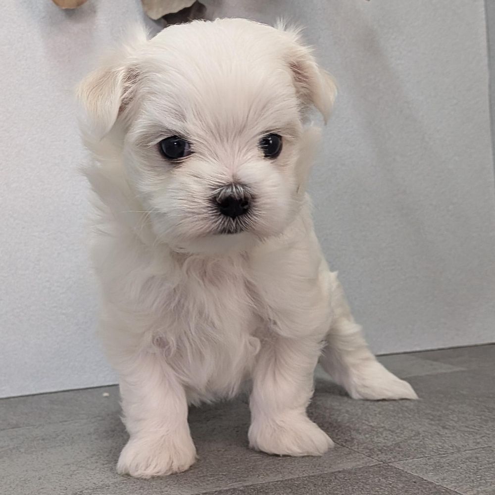 7e96b9fb-17e2-4e12-b271-194ae42b3fa0