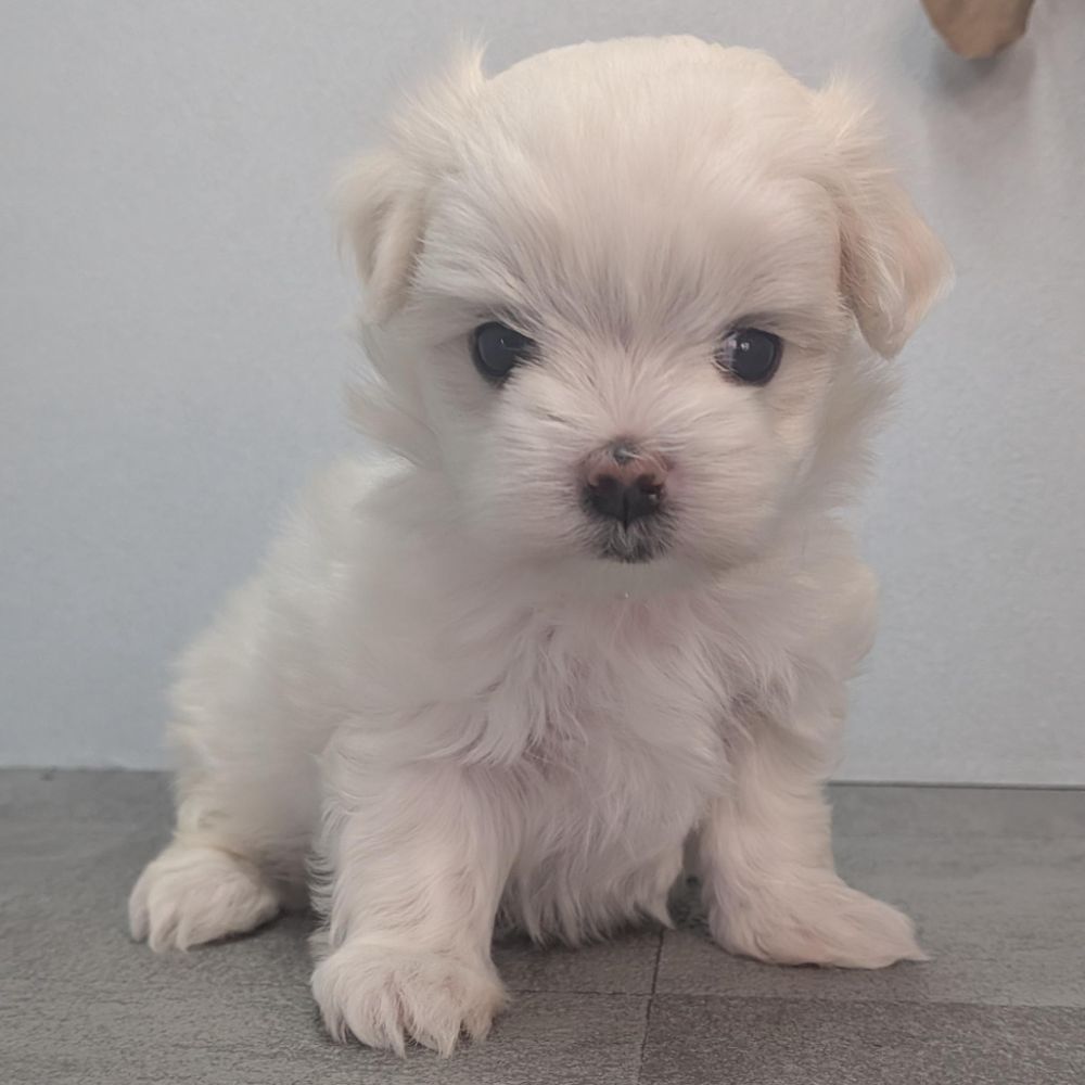 78ef2626-0f95-4b6b-b021-71f0fea54936