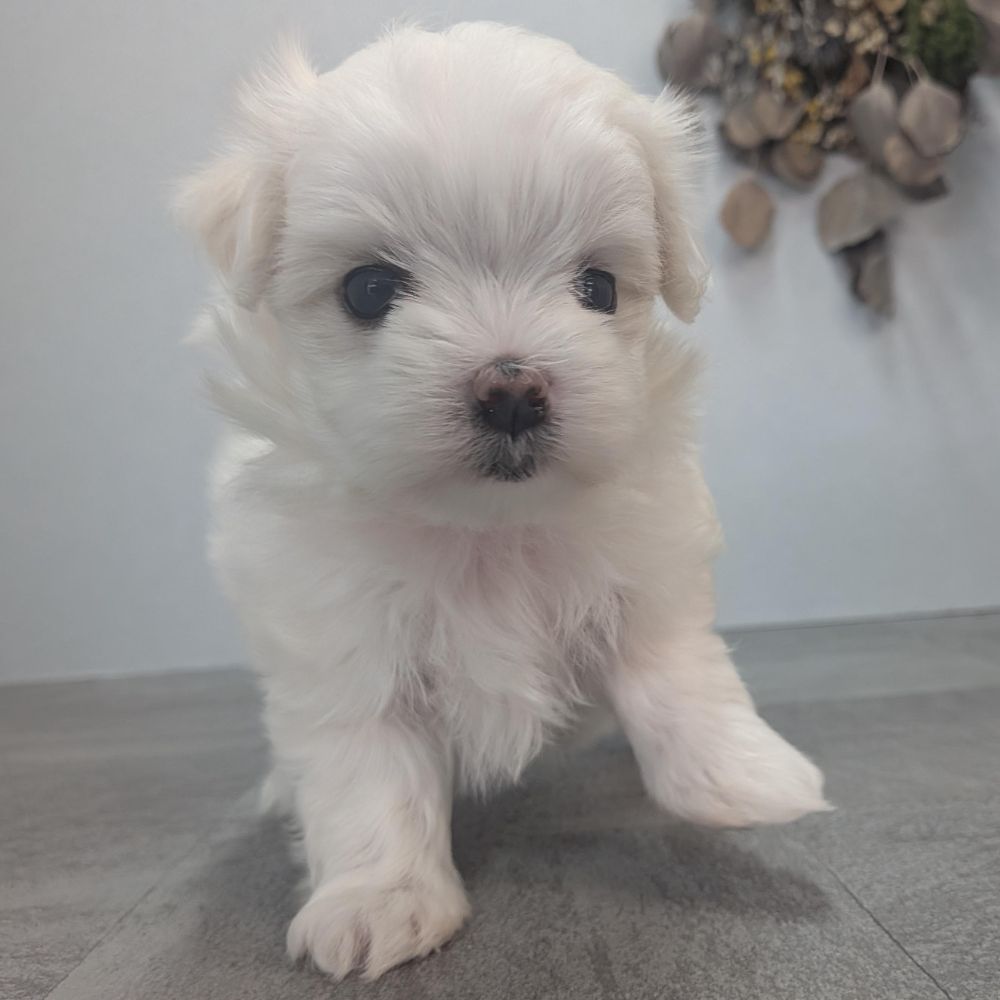 78ef2626-0f95-4b6b-b021-71f0fea54936