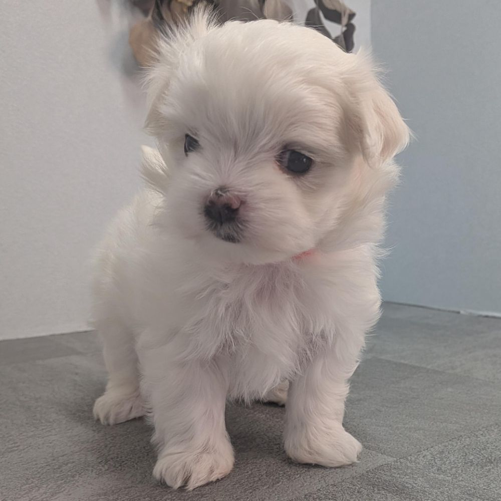 78ef2626-0f95-4b6b-b021-71f0fea54936