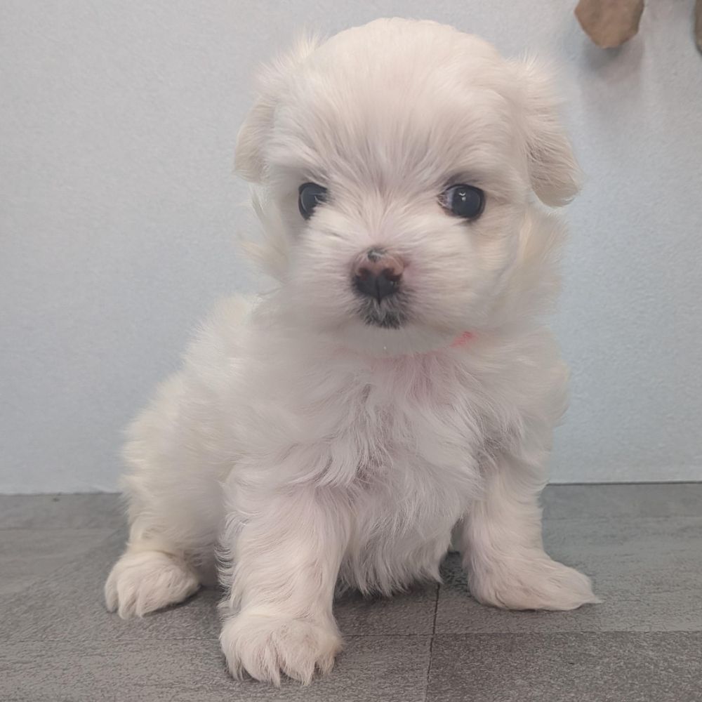 78ef2626-0f95-4b6b-b021-71f0fea54936