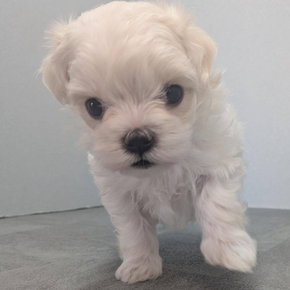 34020fba-b197-49f7-ae40-00a61d4fceb5