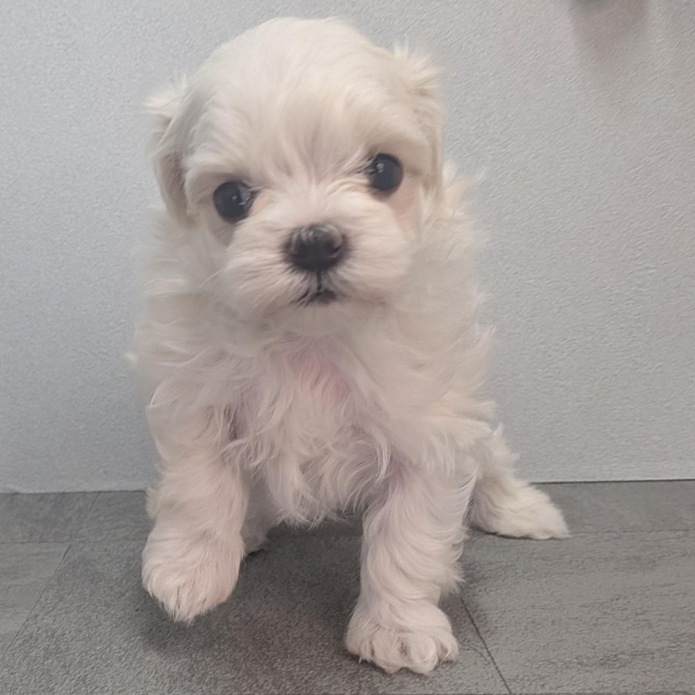 34020fba-b197-49f7-ae40-00a61d4fceb5