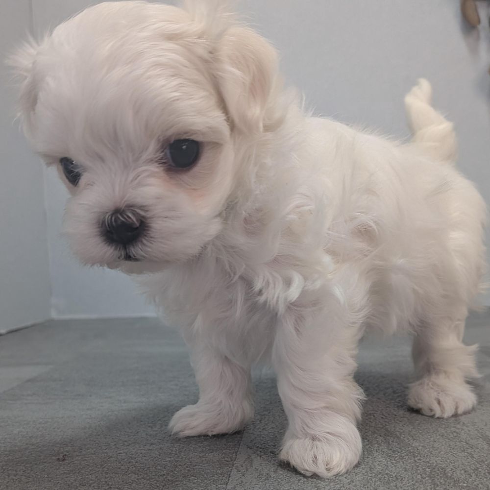 34020fba-b197-49f7-ae40-00a61d4fceb5