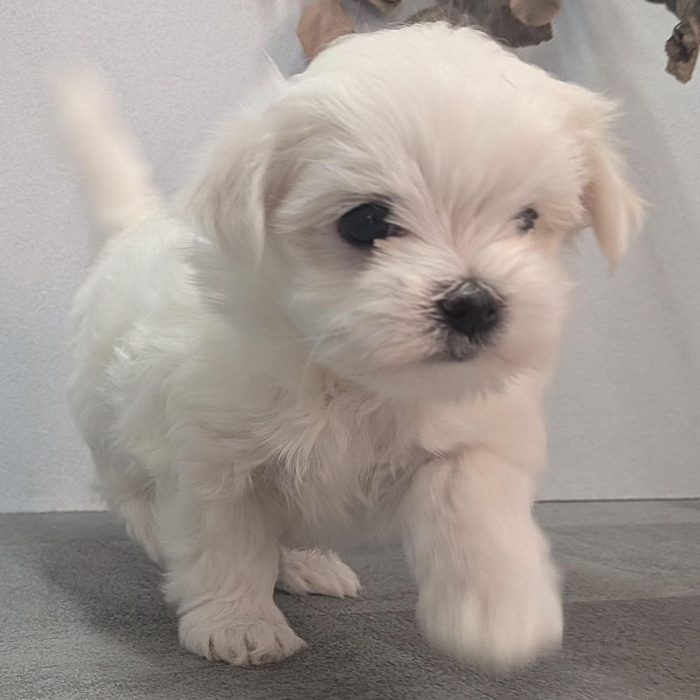 7e96b9fb-17e2-4e12-b271-194ae42b3fa0