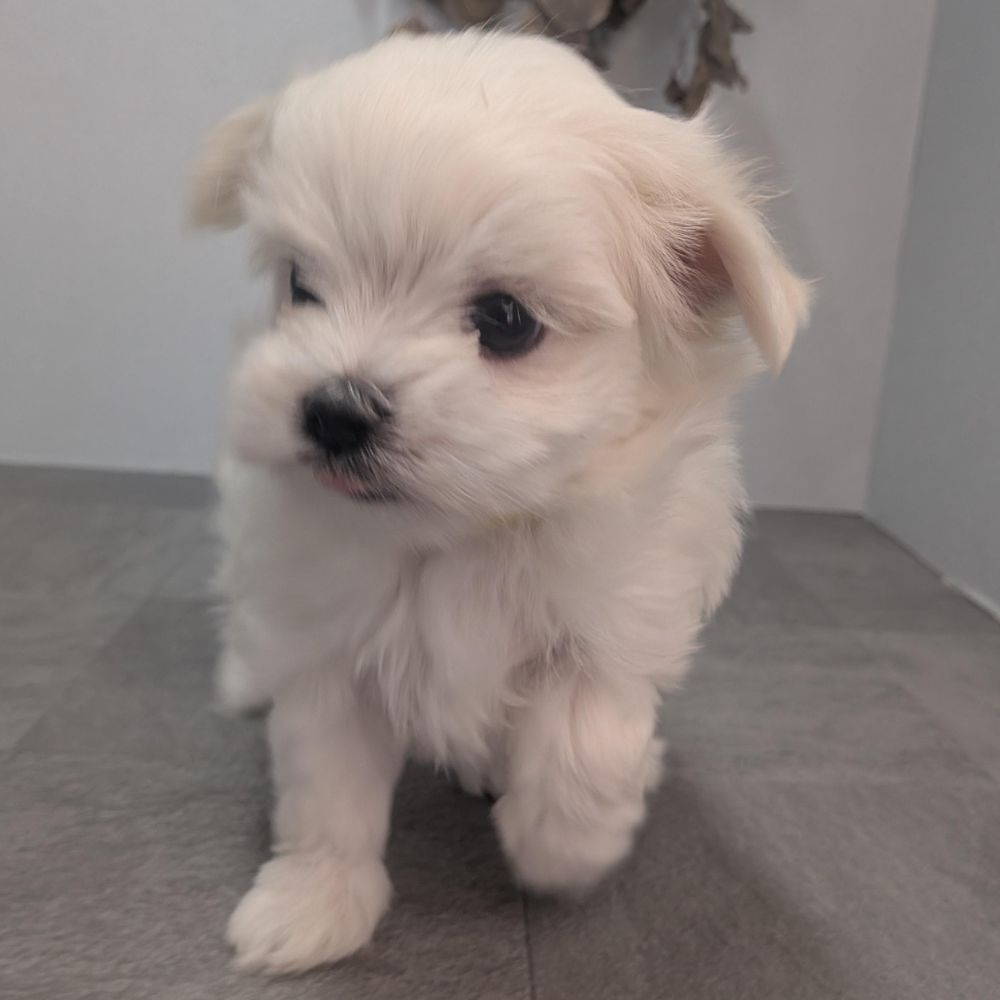 7e96b9fb-17e2-4e12-b271-194ae42b3fa0