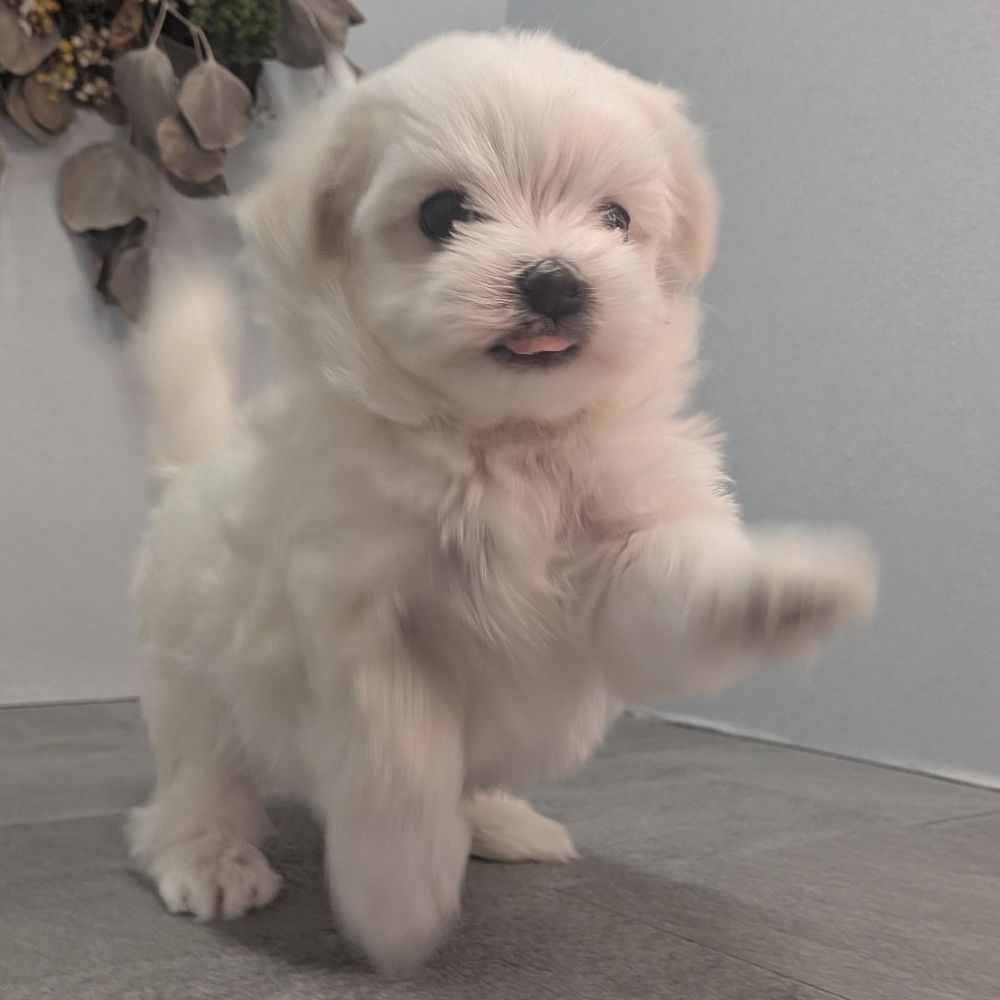 7e96b9fb-17e2-4e12-b271-194ae42b3fa0