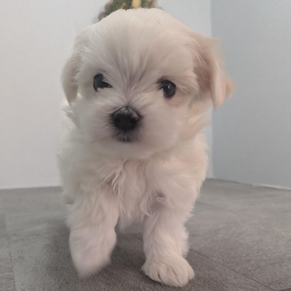 7e96b9fb-17e2-4e12-b271-194ae42b3fa0