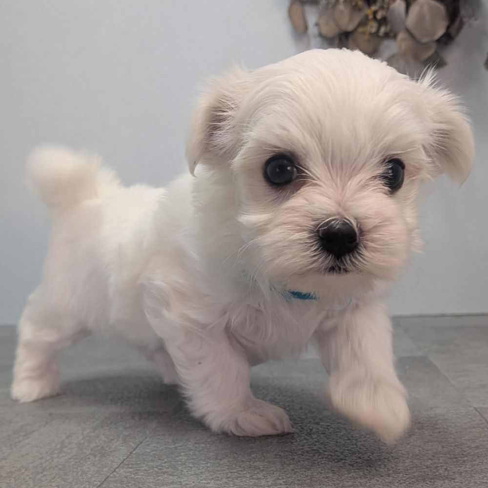 2342906d-60e1-4fa5-a915-06446fdbd313