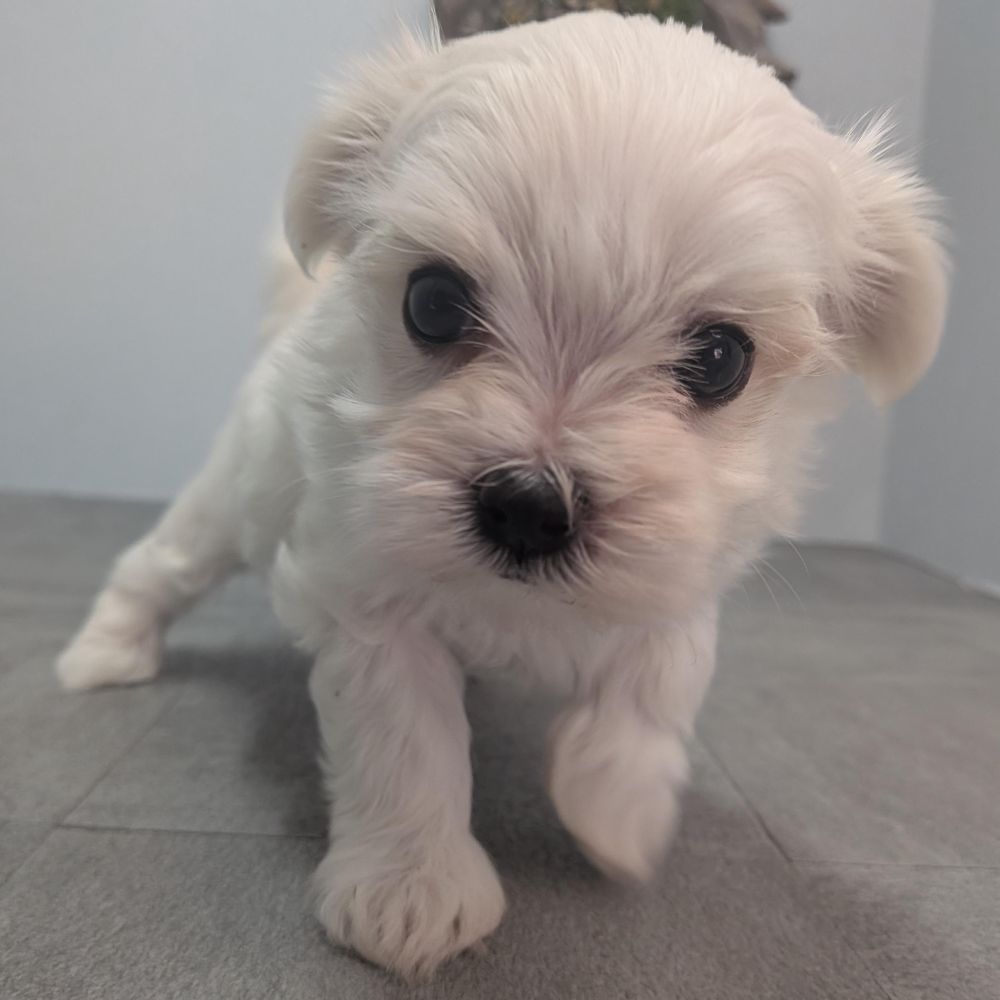 2342906d-60e1-4fa5-a915-06446fdbd313