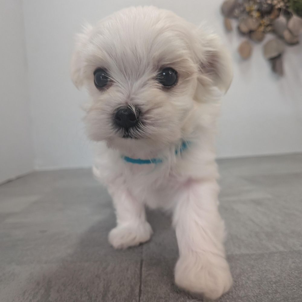 2342906d-60e1-4fa5-a915-06446fdbd313