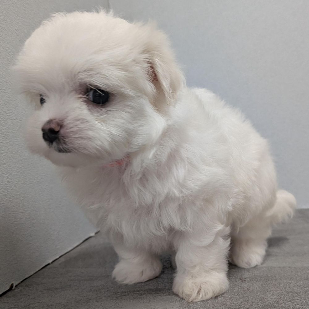 78ef2626-0f95-4b6b-b021-71f0fea54936