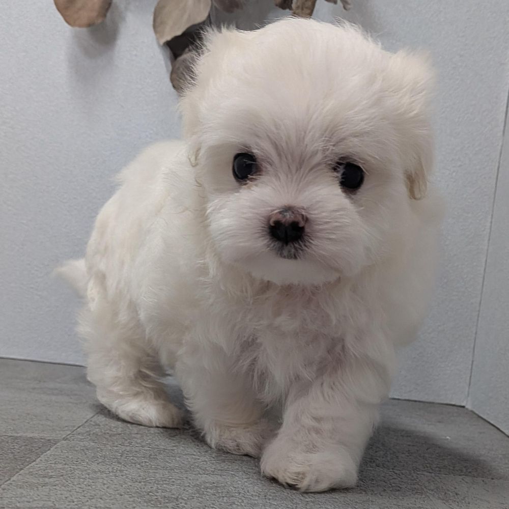 78ef2626-0f95-4b6b-b021-71f0fea54936