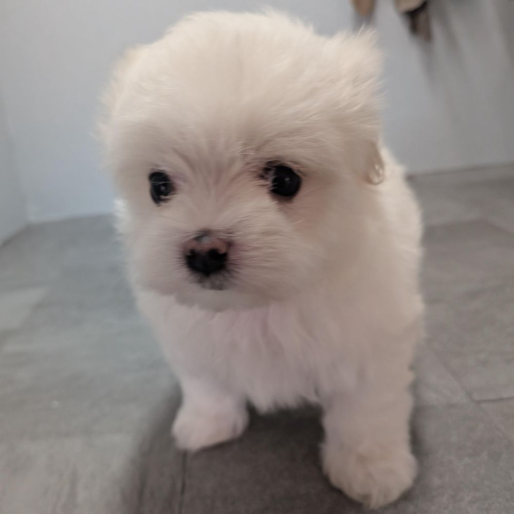 78ef2626-0f95-4b6b-b021-71f0fea54936