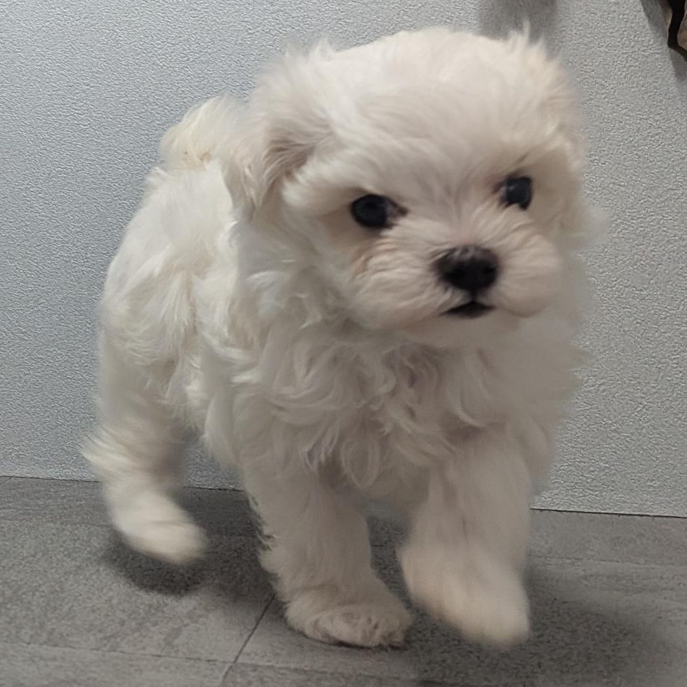 34020fba-b197-49f7-ae40-00a61d4fceb5