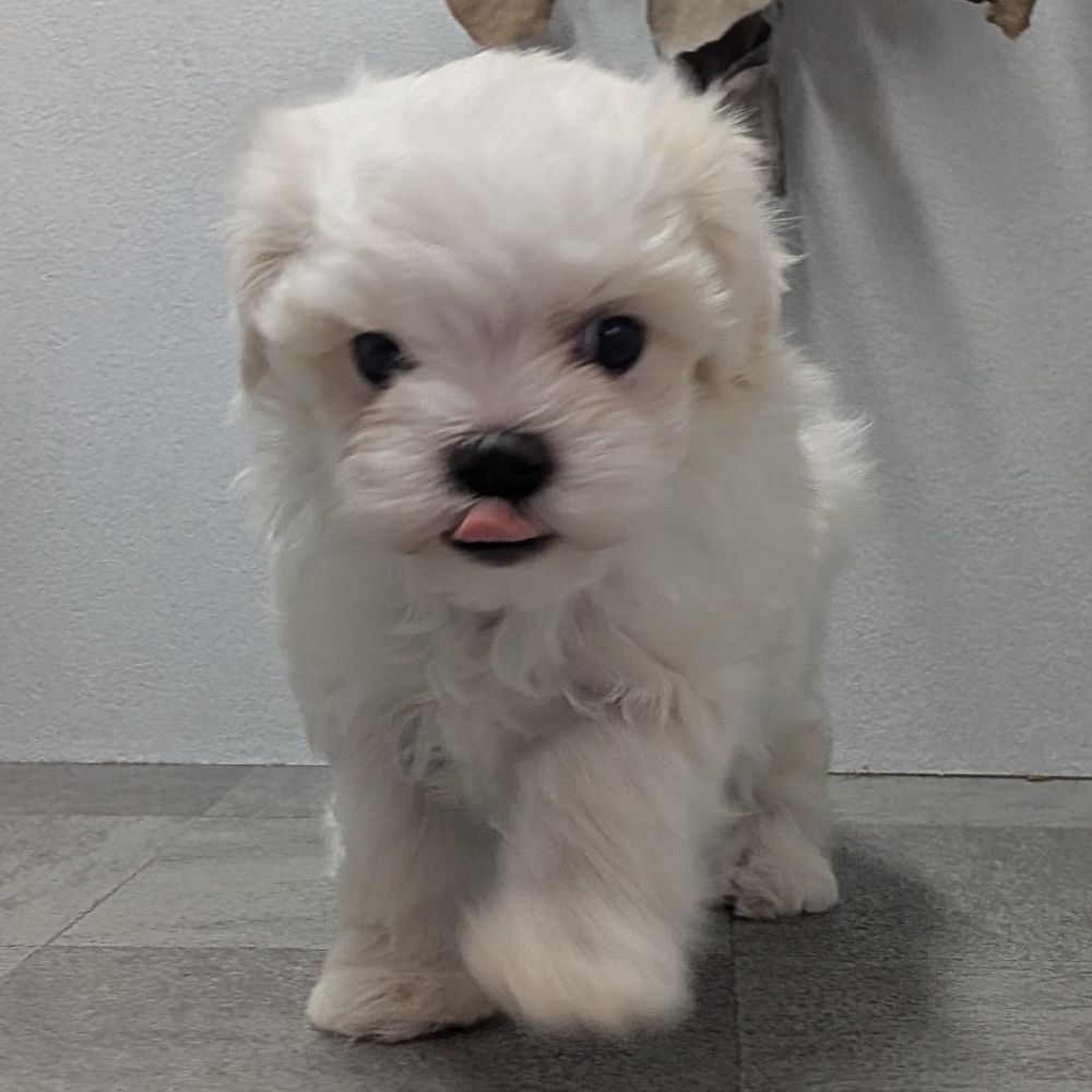 34020fba-b197-49f7-ae40-00a61d4fceb5