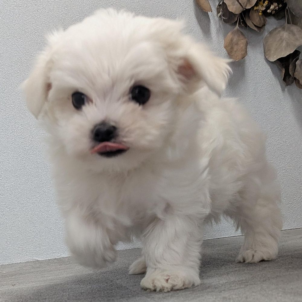 7e96b9fb-17e2-4e12-b271-194ae42b3fa0