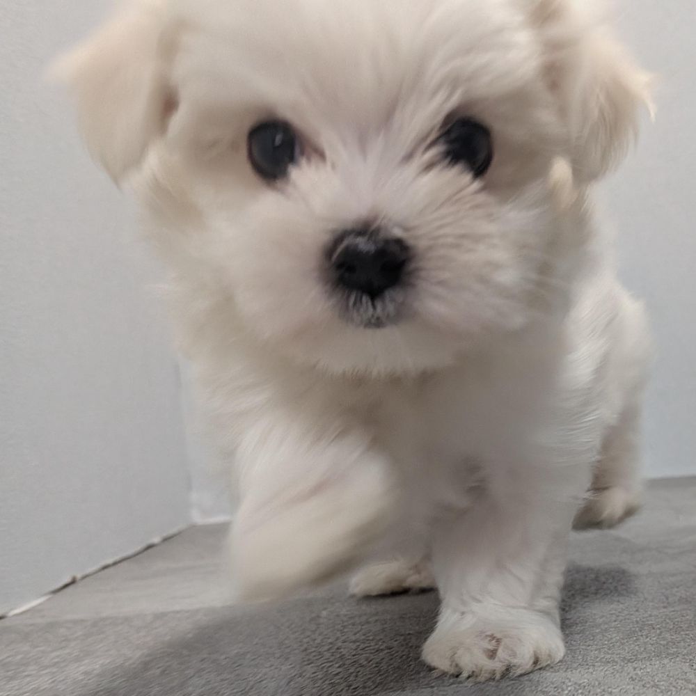 7e96b9fb-17e2-4e12-b271-194ae42b3fa0